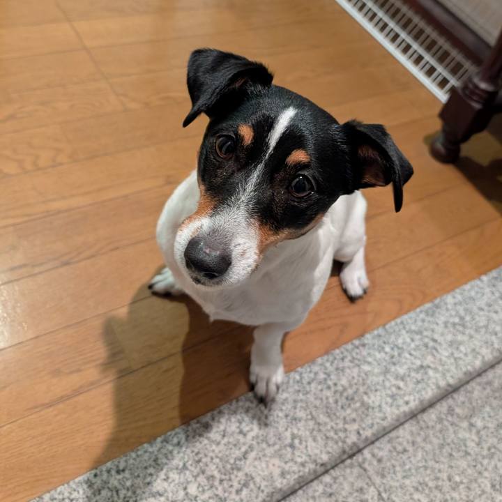 3d23dd14 59fa 4a6f b98a 84a8dccddcdd 1767012642638