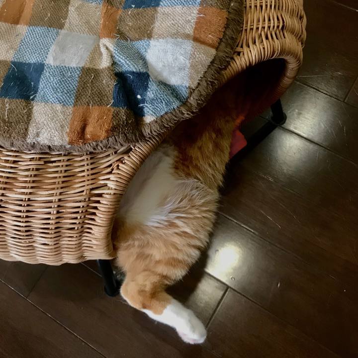 3d23f3a7 0384 465f b261 3d3ab6970b16 1591195305916