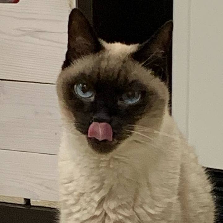 3d240251 14d9 4fe6 befa 0475091c9668 1611364160644