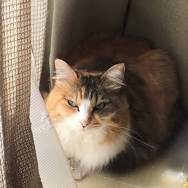 3d240dab 4e8b 42eb 891a 99839b02284d 1588581480682