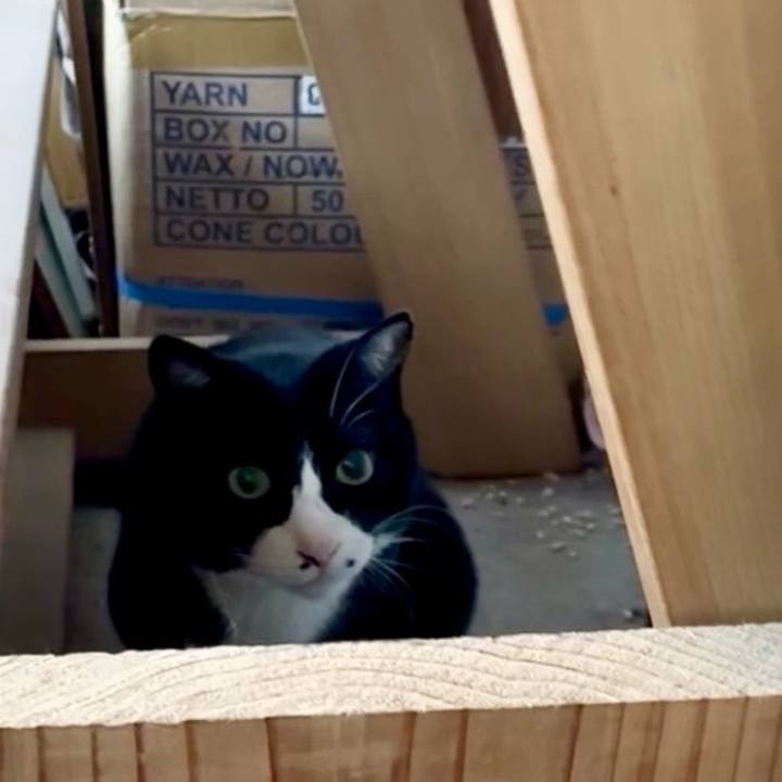 3d2432a2 d632 4e43 9e7a 21ecb3cf4b0c 1772805120357