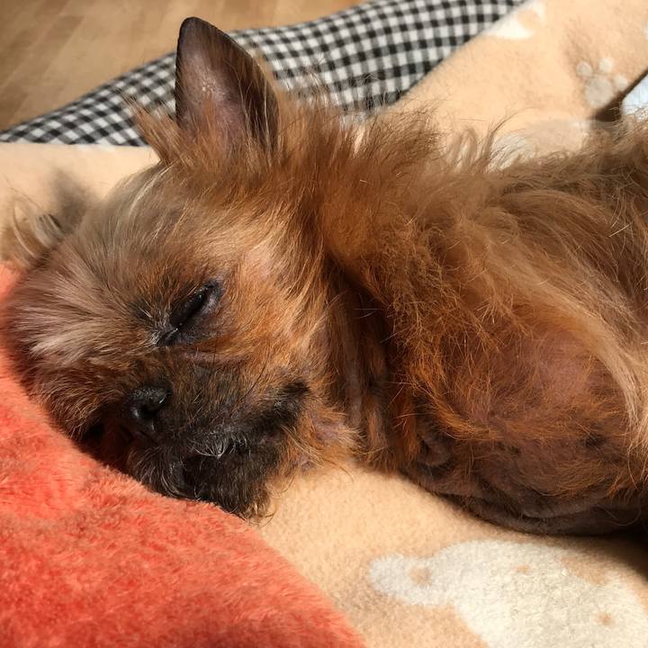 3d245469 7bc2 48f0 9d4e 1a21ac82ce24 1551759479872