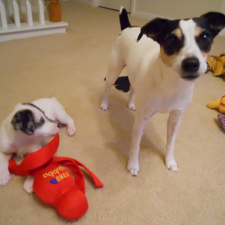 3d246086 e3e5 4499 90af bba9c7b462c0 1683668193118