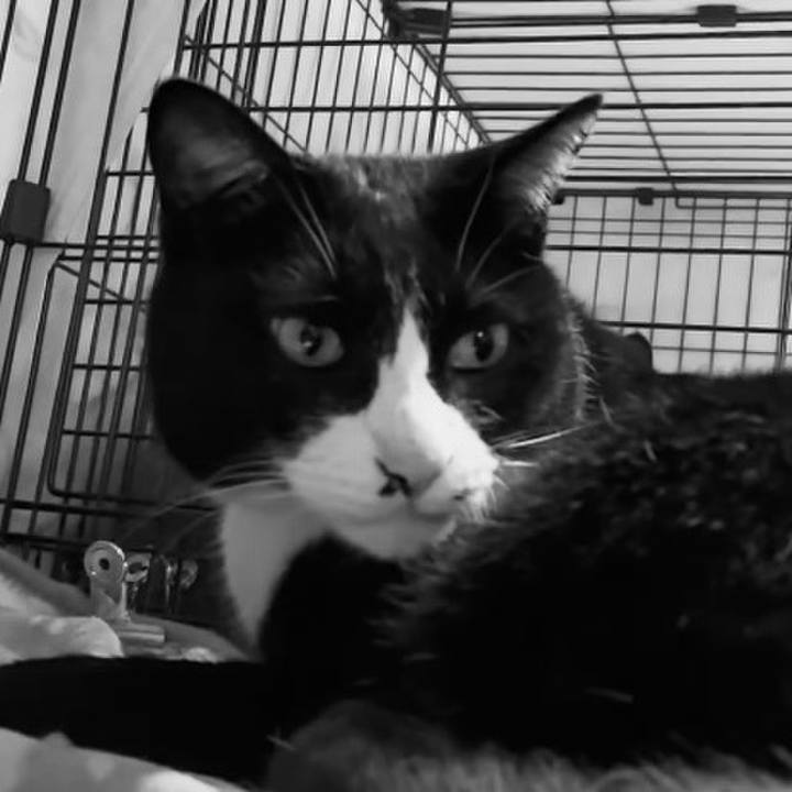 3d24852e 2730 4826 959a 95df8680a61c 1744286432697