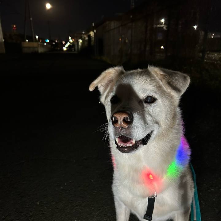 3d248592 415f 4f83 b477 ea119687ebac 1762433858743