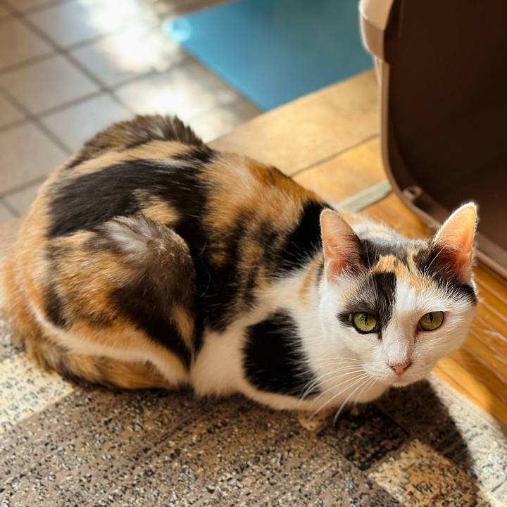 3d24b81c c83c 4f0b 833c ed42a299e6d5 1692146738655