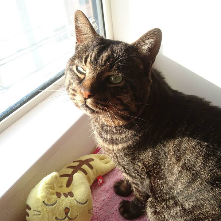 3d2504e4 7610 498f bbec 1aaf8868f785 1516875493640