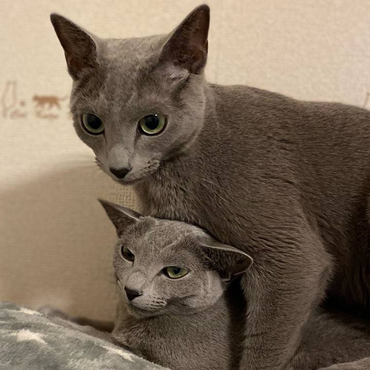 3d250e2d 79a4 4ce2 aee4 c44babe029af 1670048003875