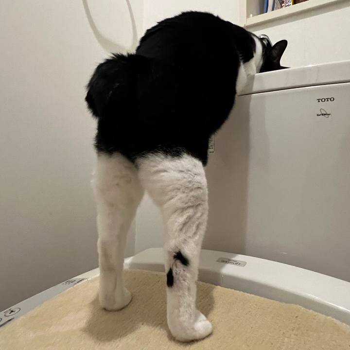 3d25205e bd78 4eed be61 f83337bb4299 1772324624255