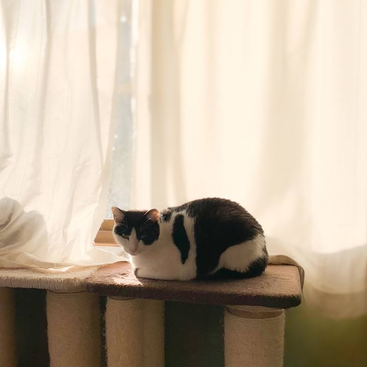 3d25425e aa7a 48bf a964 9a5198f5d310 1576805745292