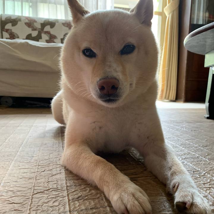 3d258435 fcb3 4111 a4fe f687b46fd11f 1623817224062