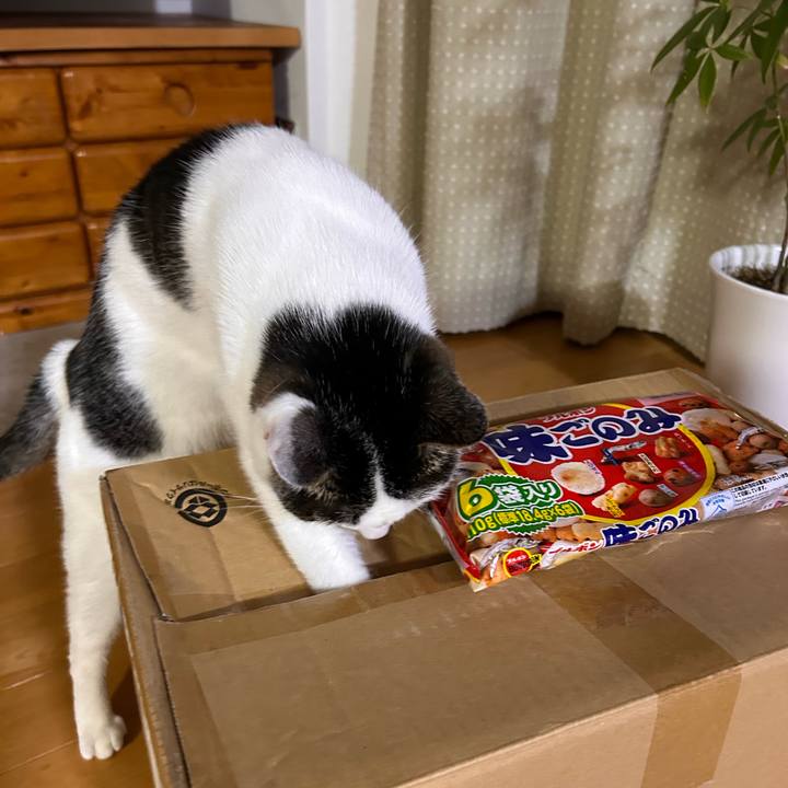 3d25a2f3 b57b 49f6 bc27 7c593e36ed11 1719753715617