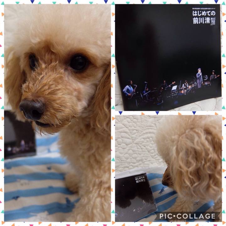 3d25eac2 1e59 471d 8657 255475c9eb67 1537442574975