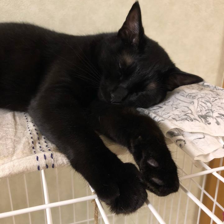 3d260e9c bc41 4ff3 a60e d1f485f0f180 1531574575547