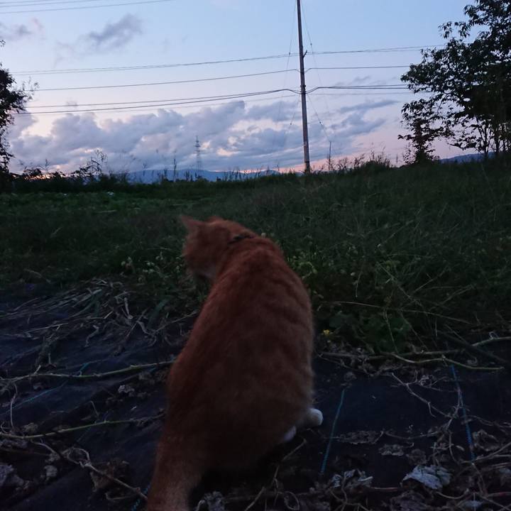 3d2612d5 59e8 4ac3 b856 ad7957837687 1570352209964