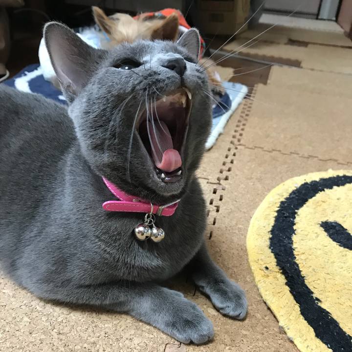 3d265486 bd61 4b12 8396 ca18746c73e3 1524978181831