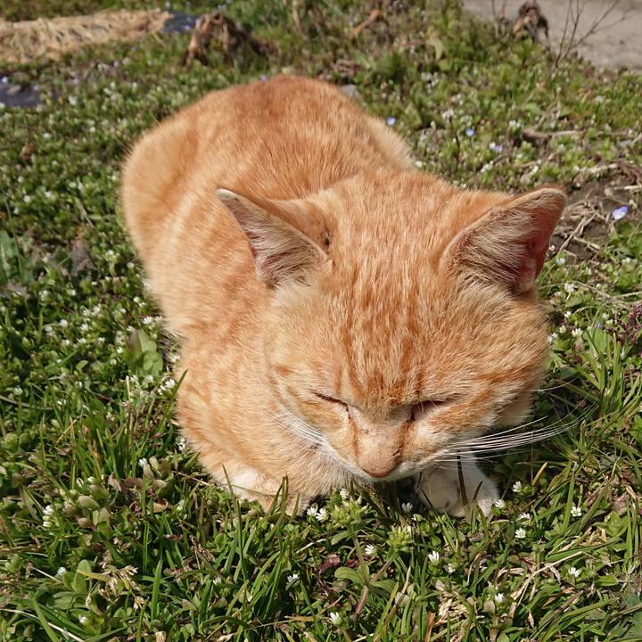 3d26c12a a33c 459b 84da b0c4f3f5e6d5 1554612296204