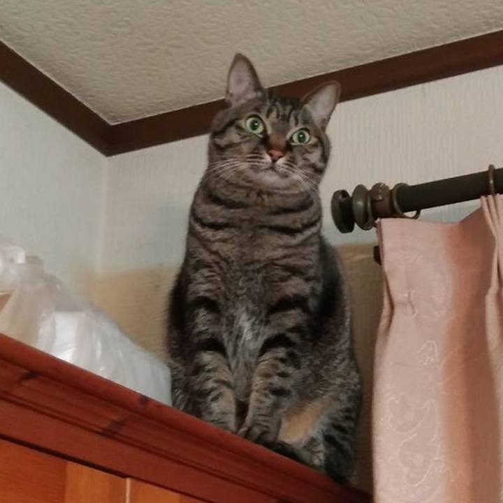 3d26df56 b3b0 4e11 b68b 927710869597 1546396600985