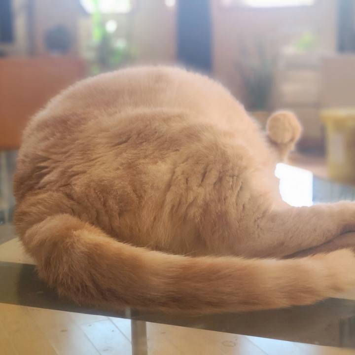 3d274b46 b619 498d 9fb1 5b5057e591d1 1690446191564