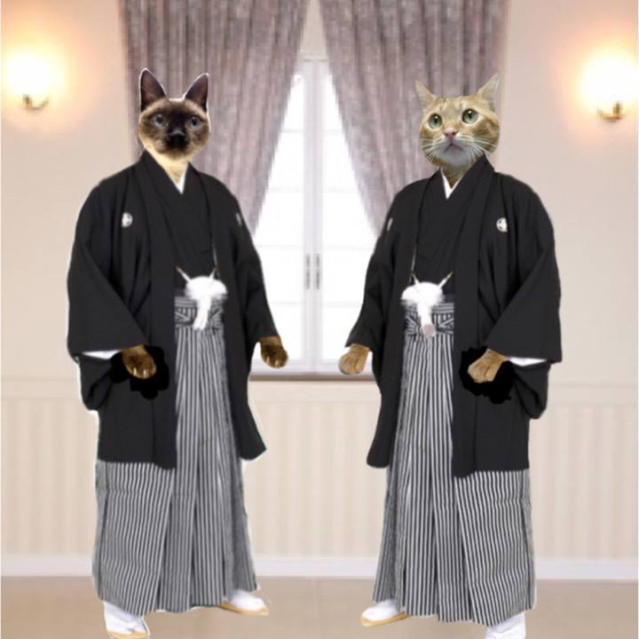 3d277d4a 01bf 413a 8127 df4c1c6cbdf3 1578916074774