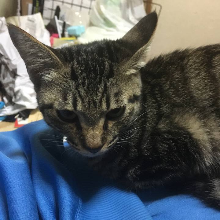 3d278147 49b0 4d1d 8bc8 6d5ca8df11c9 1541542141893