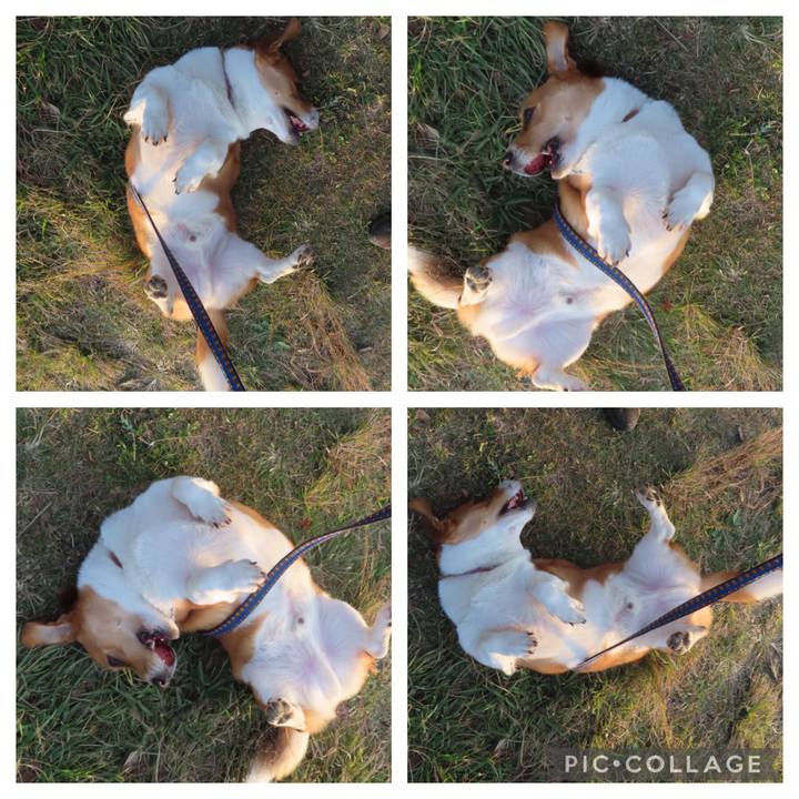 3d279400 3071 4ce8 a5cb a51b97b0b075 1637638046698