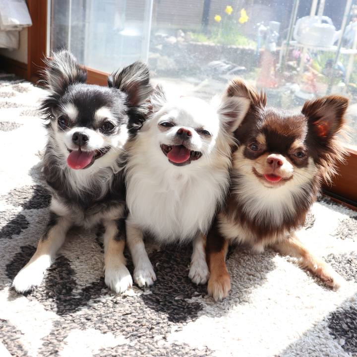 3d27b2a4 fe7e 4069 bdaf 9030147bc438 1773494769494