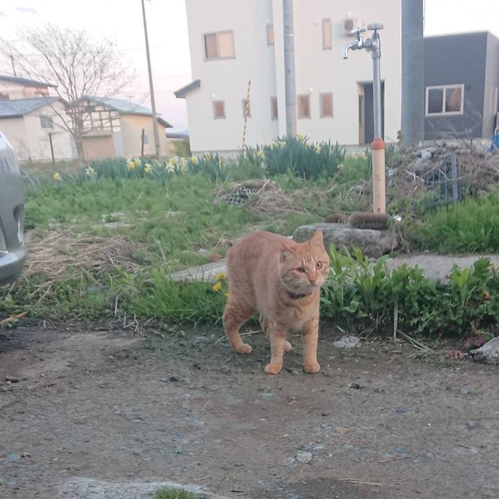 3d27c9ca 7673 4c07 a1e4 6d6f78a44993 1651571459117