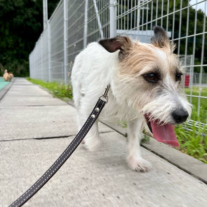 3d27e2d0 d746 4568 ad10 d4abedc14262 1750791968093