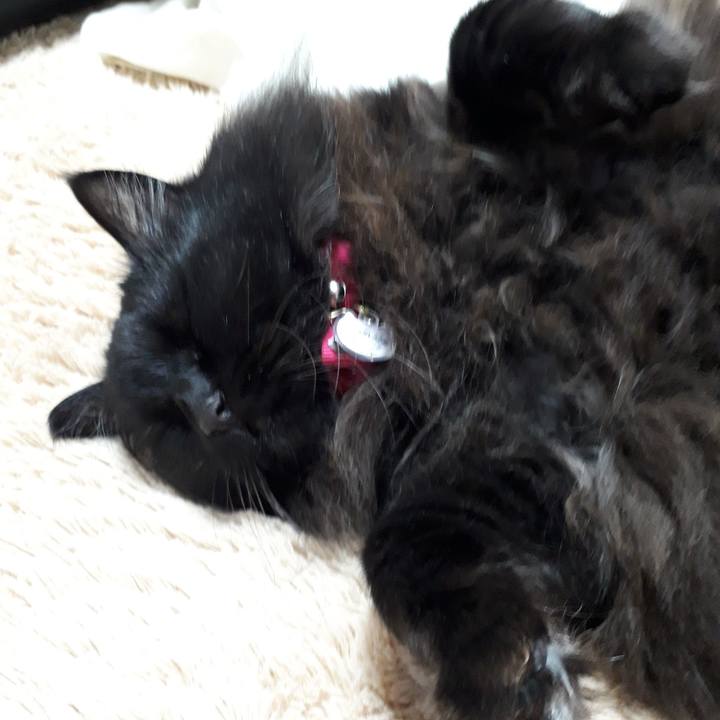 3d285f49 045b 4120 b636 e1e3d1297288 1524043458530