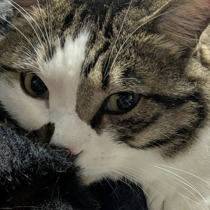 3d288b71 9b8b 4d49 b11b 6a257e854567 1775391449969