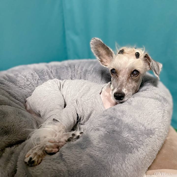 3d28b7fd a74f 420d b623 f9a3262bdbfa 1760263142969