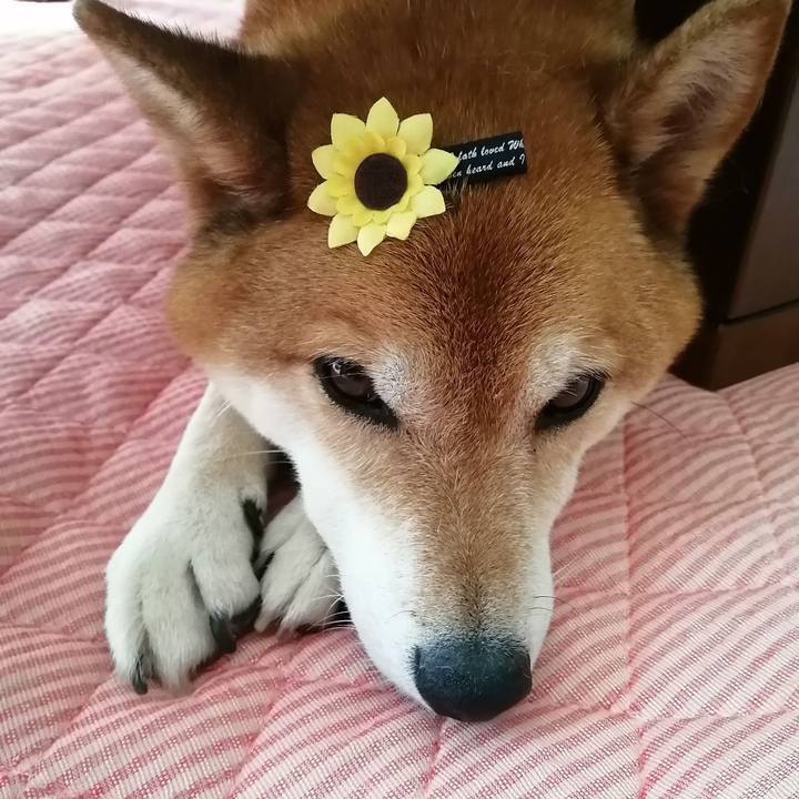 3d28bdd2 f23f 431e 871f d11dafed8427 1687571989961