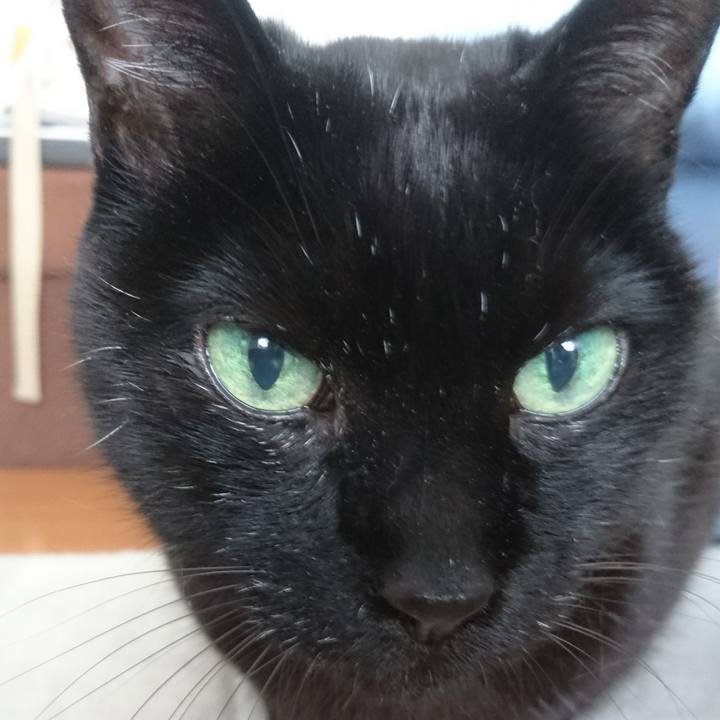 3d28c5c7 47ba 4e9b a2b7 0a15a85b1cfa 1523188862373