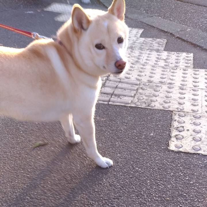 3d290bcf 188d 4841 b1a3 6df1af73e3fa 1604192266116