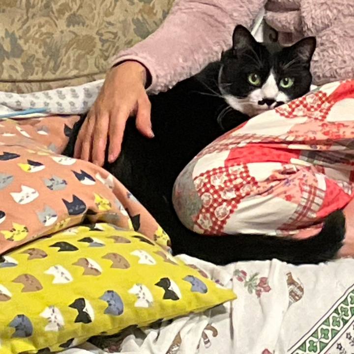 3d292642 9512 486d 9dcf ae9a0fae97b9 1705022952737