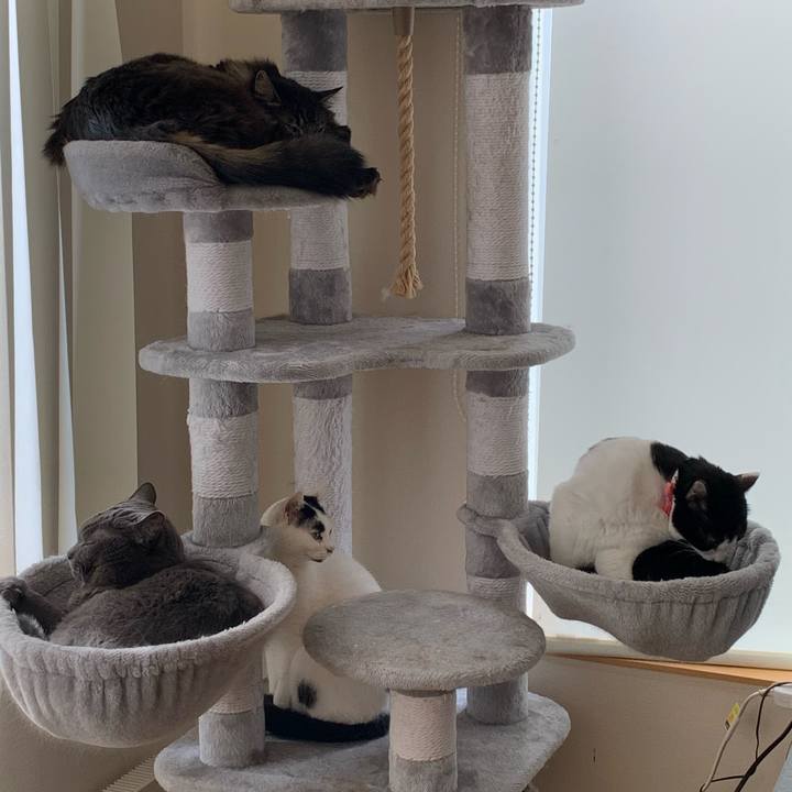 3d293601 f264 44ef 874c 7b60afafd09c 1743900591300