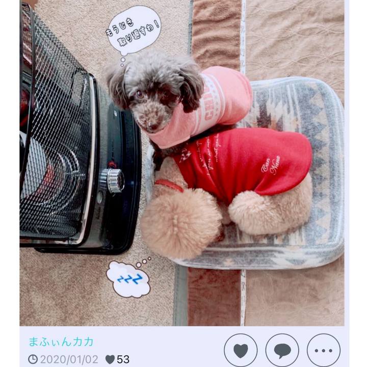 3d295c67 9433 407d 86d5 4ffd4949e340 1704508928919