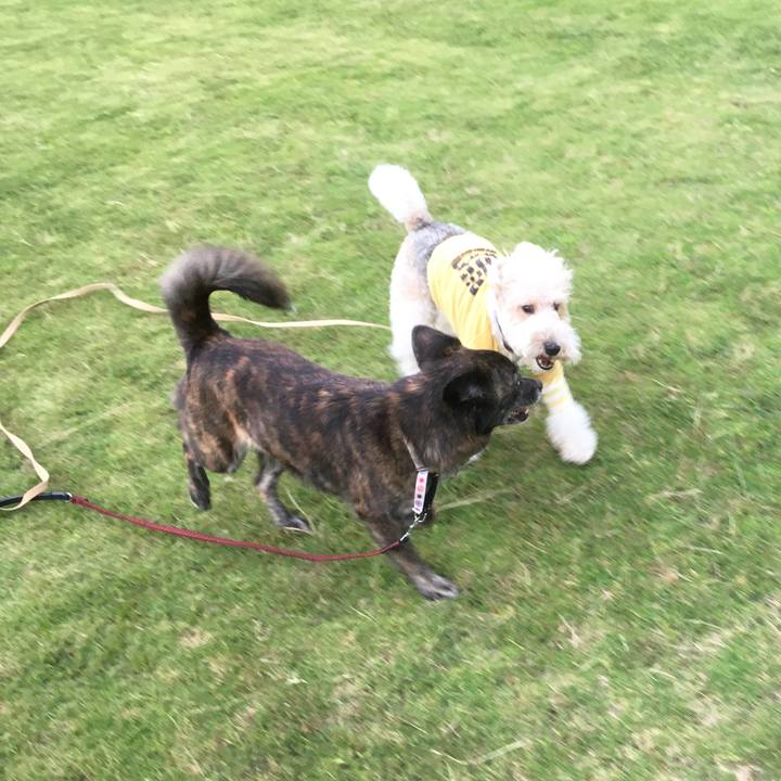 3d298c5c 7cea 4ec2 9e86 c42c11ee241d 1530102837139