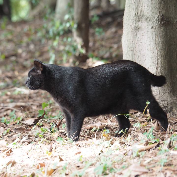 3d29916d f02b 402a 8b5f ee121489f12b 1534680581104