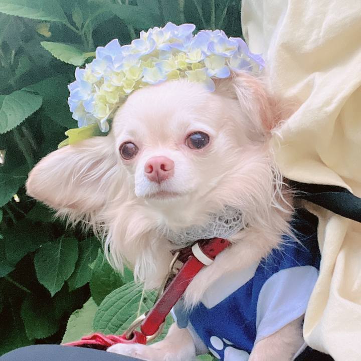 3d29aaeb fce1 4954 8028 03e5a3bf67b9 1654252813962