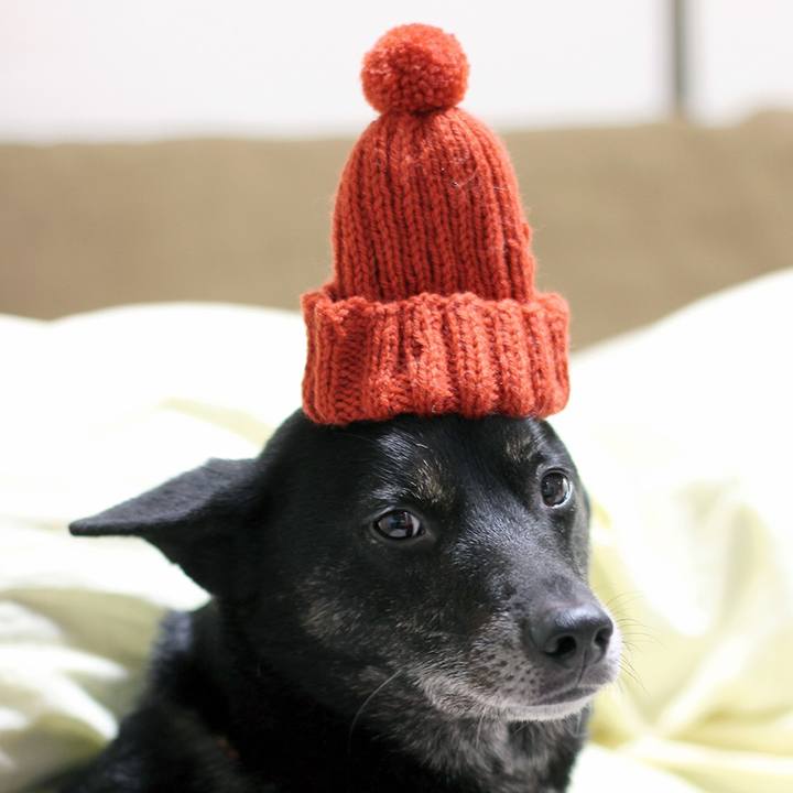 3d29b296 8ea8 4618 9117 dc015f594ed5 1669610962241