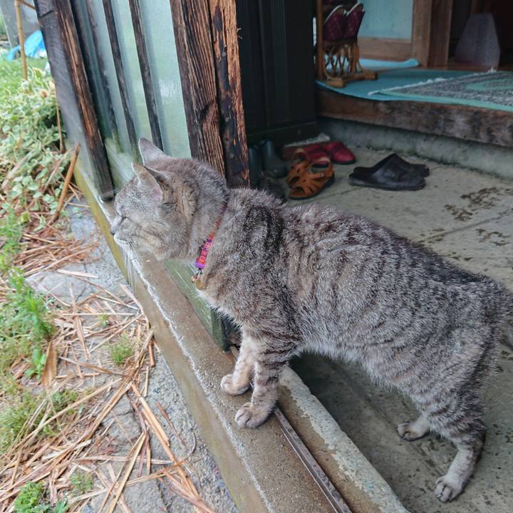 3d29d495 28d2 46f9 8e9a 21ccfe81accb 1593593713168