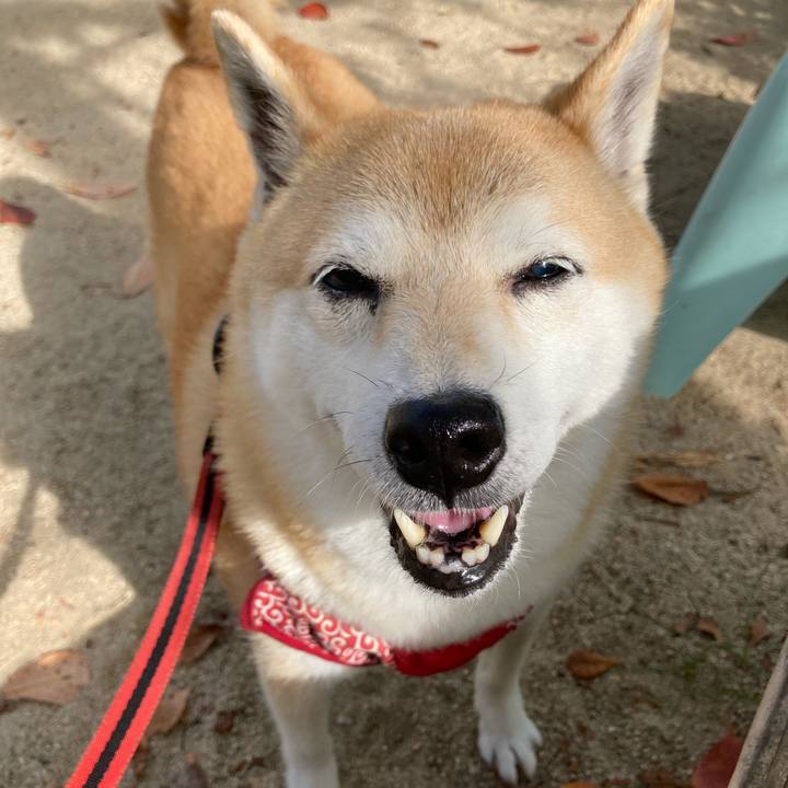 3d29d49f cded 4589 9074 6f70ca48ce38 1632985019391