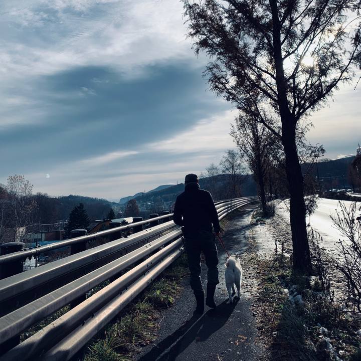 3d29ea48 7f21 44f6 ae9e 957e1ab9435e 1574555405751