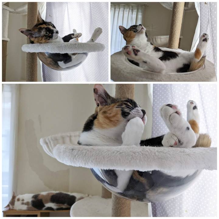 3d2a11b2 00e2 4878 b08b 06b1865b62d1 1690953812878