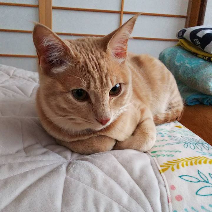 3d2a27e4 b2a4 4019 8e9a e9b4476ecb57 1548629495751