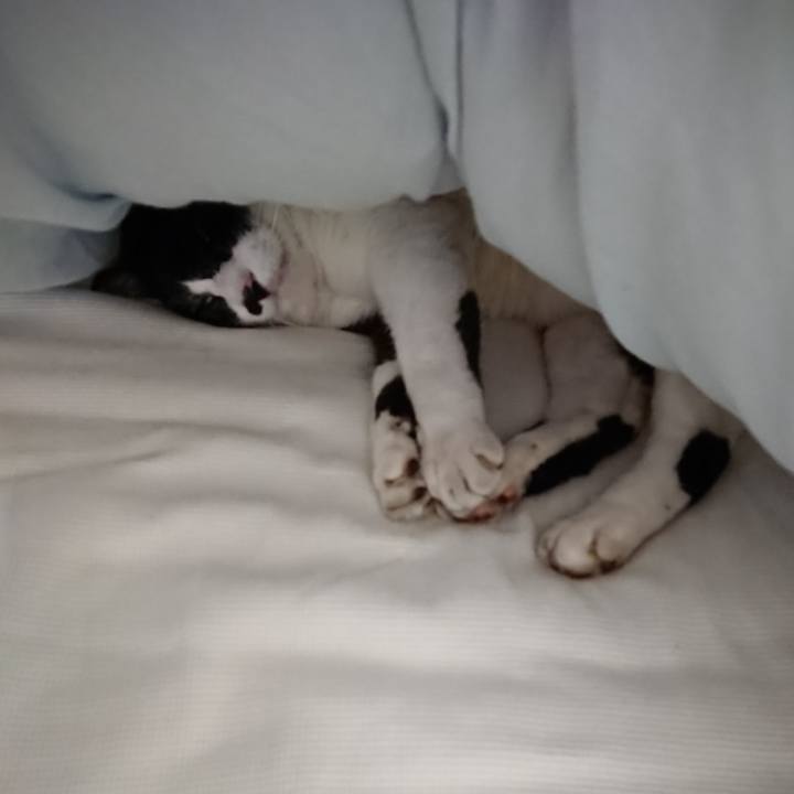 3d2a4a4e 9a96 428a b925 476fb419f683 1637021274959