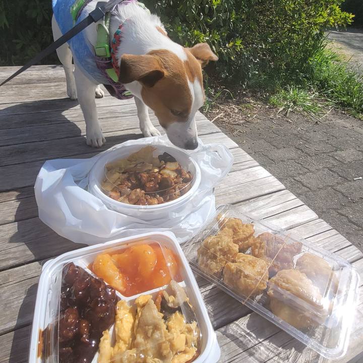 3d2a6513 8906 4a62 853b c47881a7aa71 1710654675216