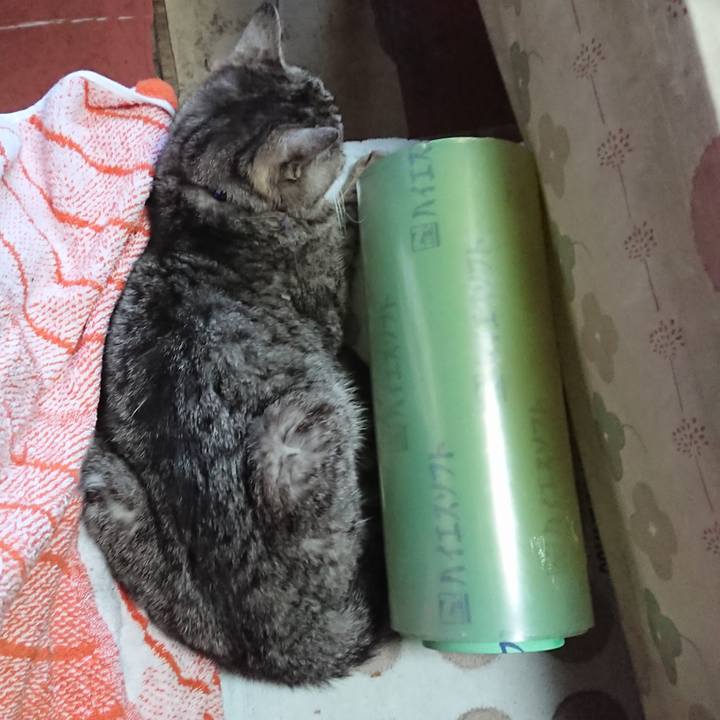 3d2a7383 508f 4a55 b039 28fadecd113e 1585467115314